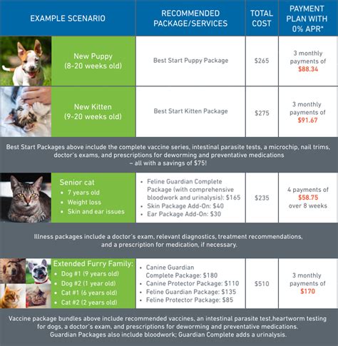 pet financing no credit check.